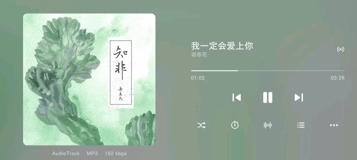 最适合车载的本地音乐播放器亲测推荐之椒盐音乐（Salt Player）app，你想要的功能它都有！